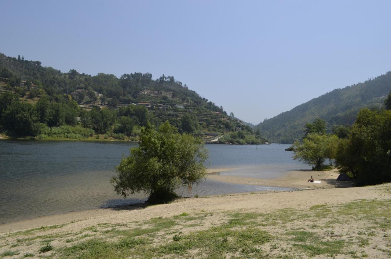 Villa Encosta Do Douro - Rio Douro Cinfães Exterior foto