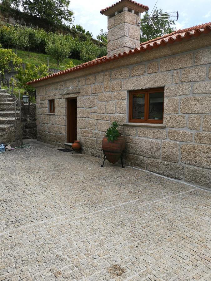 Villa Encosta Do Douro - Rio Douro Cinfães Exterior foto