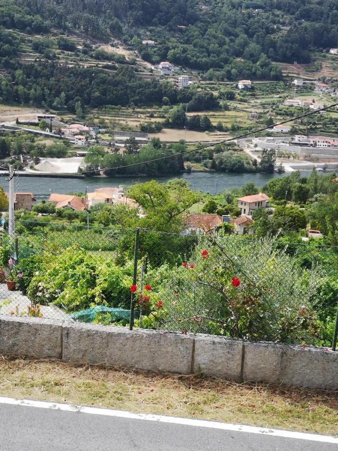 Villa Encosta Do Douro - Rio Douro Cinfães Exterior foto