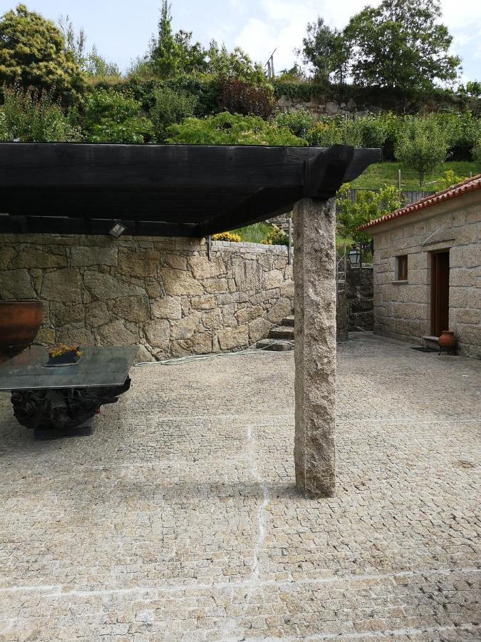 Villa Encosta Do Douro - Rio Douro Cinfães Exterior foto