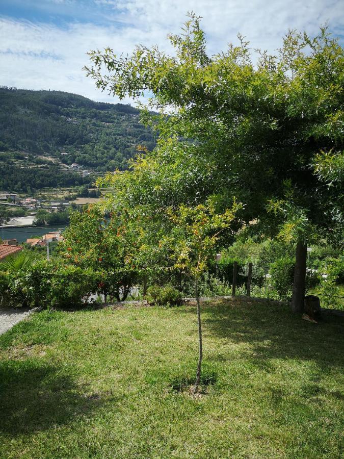 Villa Encosta Do Douro - Rio Douro Cinfães Exterior foto